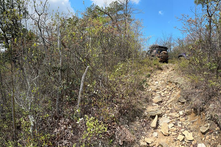 Boar's Head Resort Off Road Jeep Tour - Photo 1 of 7